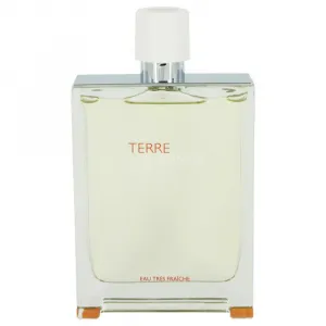 Hermes 540243 Terre Damp;rsquo; Harkens To The Scent Of A Natural Man 