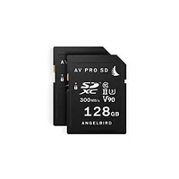 Angelbird-Angel-MP-EVA1