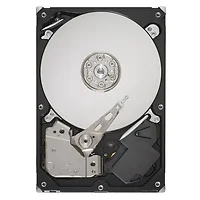 SEAGATE-ST3160215SCE