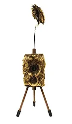 Mojo Networks-HW2304