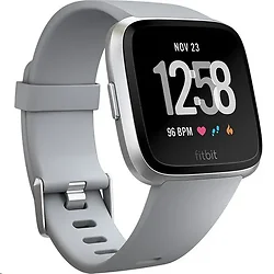 Fitbit-FB504SRGY