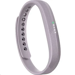 Fitbit-FB403LV