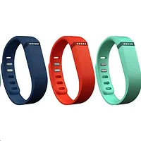 Fitbit-FB401BTNT
