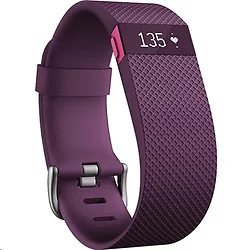 Fitbit-FB405PMS