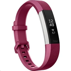 Fitbit-FB408SPMS