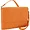 FFS14ORSNAKENVE | Francine Collections LENOX ORANGE LAPTOP