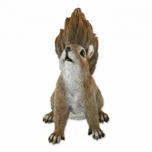 Accent 10017887 Bushy Tail Squirrel Garden Decor