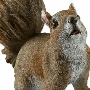 Accent 10017887 Bushy Tail Squirrel Garden Decor