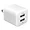 ECW06WH | Ematic 2-PORT WALL CHARGER WHITE
