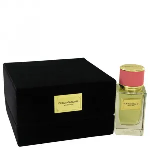 Dolce 539505 Dolce Amp;amp; Gabbana Velvet Rose By Dolce Amp;amp; Gabb