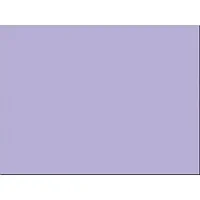 PACON CORPORATION-PAC 103082