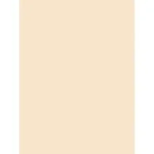 PAC 5190 | Pacon Corporation Pacon Medium Weight Tagboard