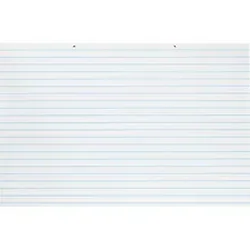 PACON CORPORATION-PAC 3051