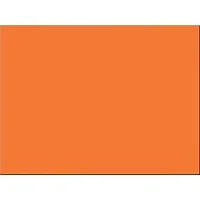 PACON CORPORATION-PAC 103066