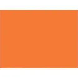 PACON CORPORATION-PAC 103066