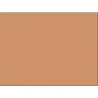 PACON CORPORATION-PAC 103087