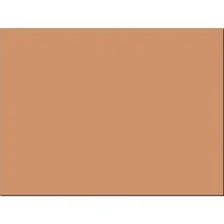 PACON CORPORATION-PAC 103087