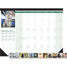 House HOD 199 Earthscapes Puppies Photo Desk Pad - Julian Dates - Mont