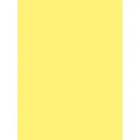 PACON CORPORATION-PAC 8417