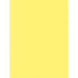 PACON CORPORATION-PAC 8417