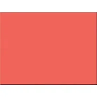 PACON CORPORATION-PAC 103094