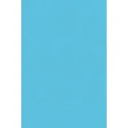 PACON CORPORATION-PAC 0059392