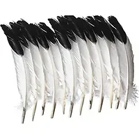 PACON CORPORATION-PAC AC4512