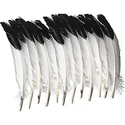 PACON CORPORATION-PAC AC4512