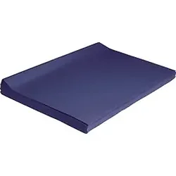 PACON CORPORATION-PAC 0059400