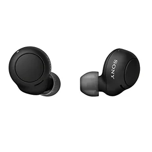 Sony Sony True Wireless Headphones with Connect App - Black