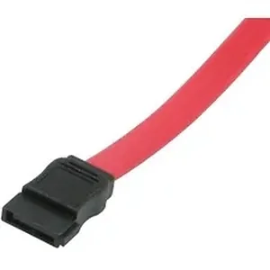 10154 | C2g 36in 7-pin 180° 1-Device Serial ATA Cable