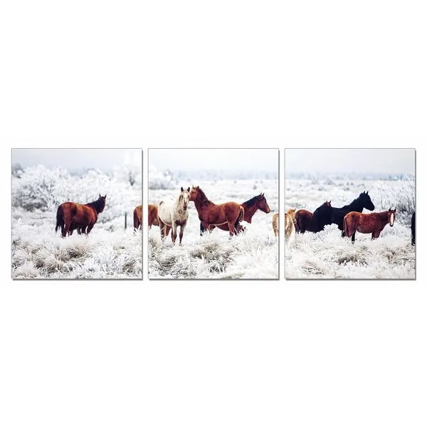 Homeroots.co 284005 24 Multicolor Canvas 3 Horizontal Panels Horses Ph