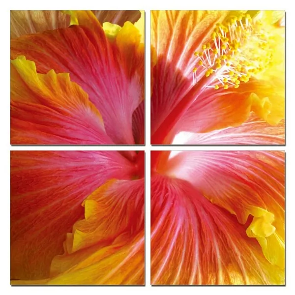 Homeroots.co 283991 24 Multicolor Canvas 4 Panels Hibiscus Photo