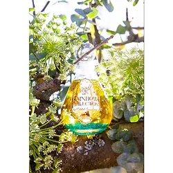 Celestial Symphony-R-BA2-FOREST