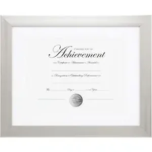 Burnes Home Accents Burnes Brushed Silver Document Frame -