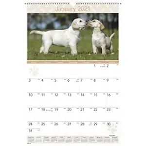 AAG DMW16728 | Acco Brands At-A-Glance Puppies Monthly Wall