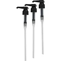 STARBUCKS COFFEE COMPANY-SBK 12432349