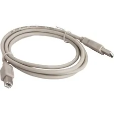 Compucessory CCS 11150 Usb 2.0 A-b Printer Cables - 6 Ft Usb Data Tran