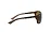 Ray Ban Ray-Ban RB4307-710/73 Unisex Havana Square Dark