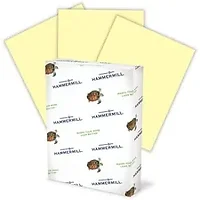 INTERNATIONAL PAPER-HAM 104307