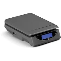 Brecknell-SBW PS25GRAY