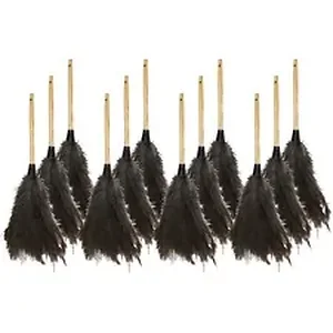 GJO 90118CT | Genuine Joe Feather Duster - 12 / Carton