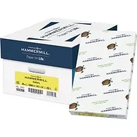 INTERNATIONAL PAPER-HAM 103358CT