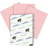 INTERNATIONAL PAPER-HAM 103382CT
