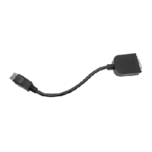 Siig CB-DP0072-S1 Accessory Cb-dp0072-s1 Displayport To Dvi Adapter Ro