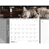 Dominion Blueline Inc-RED C194115