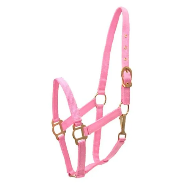 Choice 5-110672 Gatsby Classic Nylon Halter With Snap