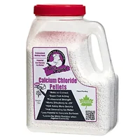 Ebrookmyer Inc-BGCCP-12