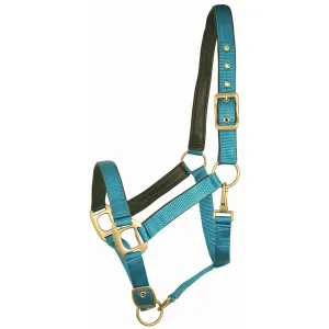 Choice 5-650144 Gatsby Leather Padded Adjustable Nylon Halter