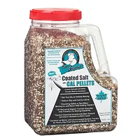 Ebrookmyer Inc-BGCSCA-12